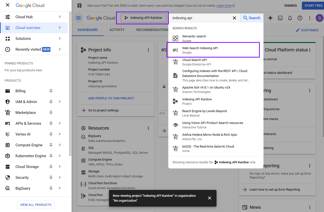 Web search indexing api